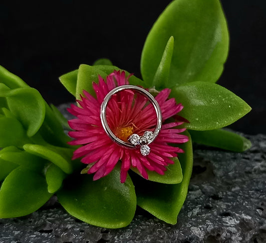 Titanio grado implante. Clicker con trinity clear