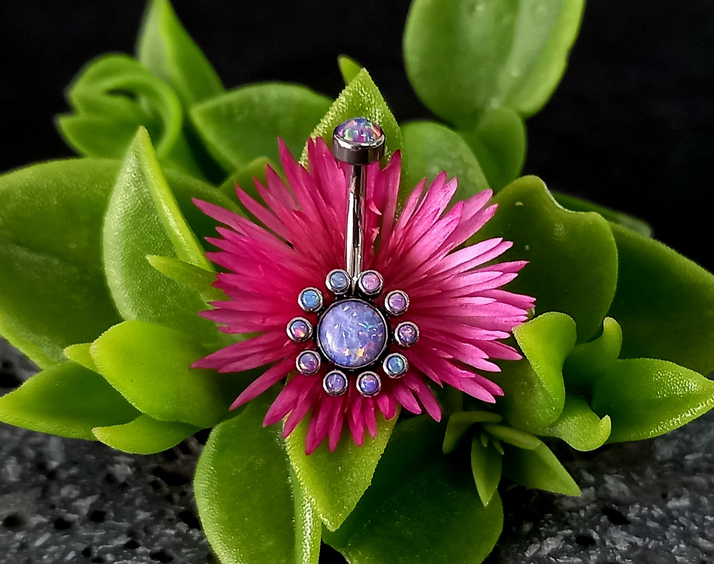 Titanio grado implante.. Navel flor 10 petalos oplao purpura
