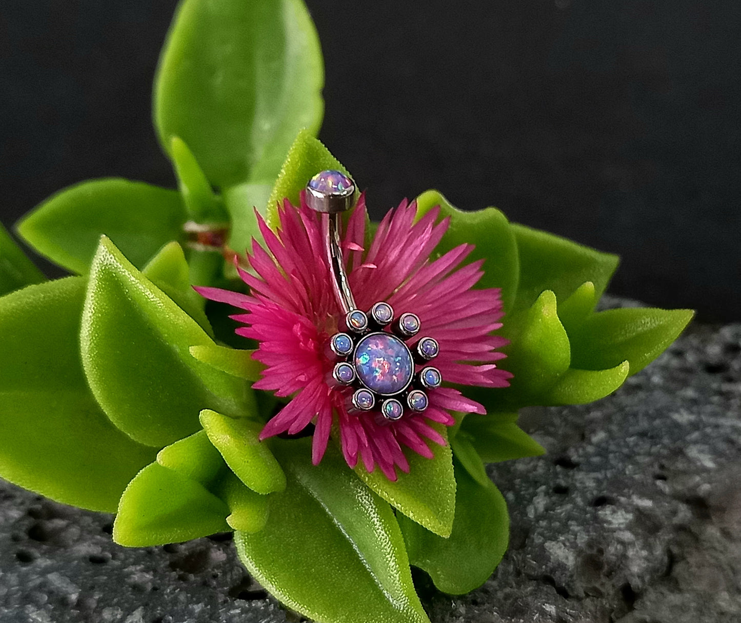 Titanio grado implante.. Navel flor 10 petalos oplao purpura