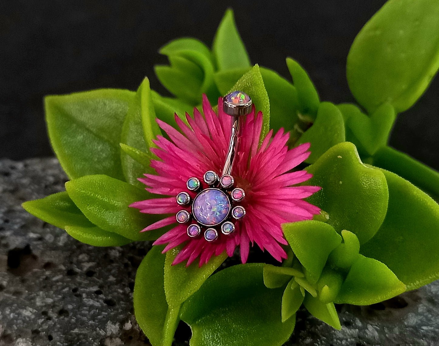 Titanio grado implante.. Navel flor 10 petalos oplao purpura