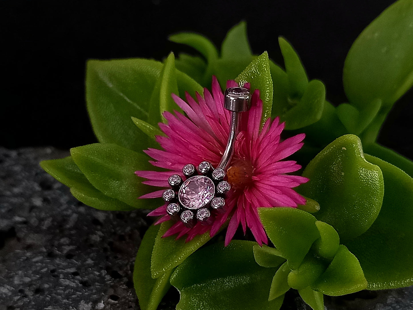 Titanio grado implante.. Navel flor 10 petalos rosa