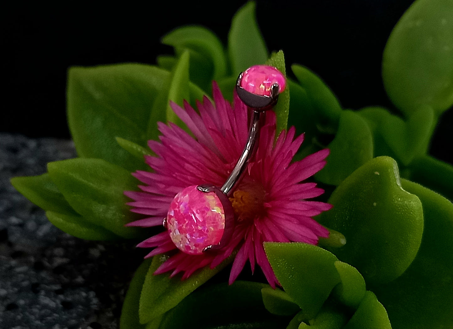 Titanio grado implante. Navel Opalo rosa