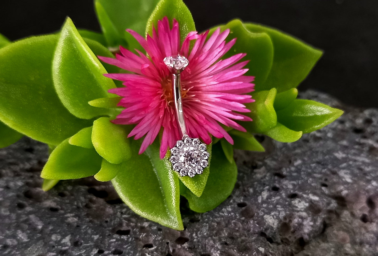 Titanio grado implante. Navel conjunto de bisel Cz.