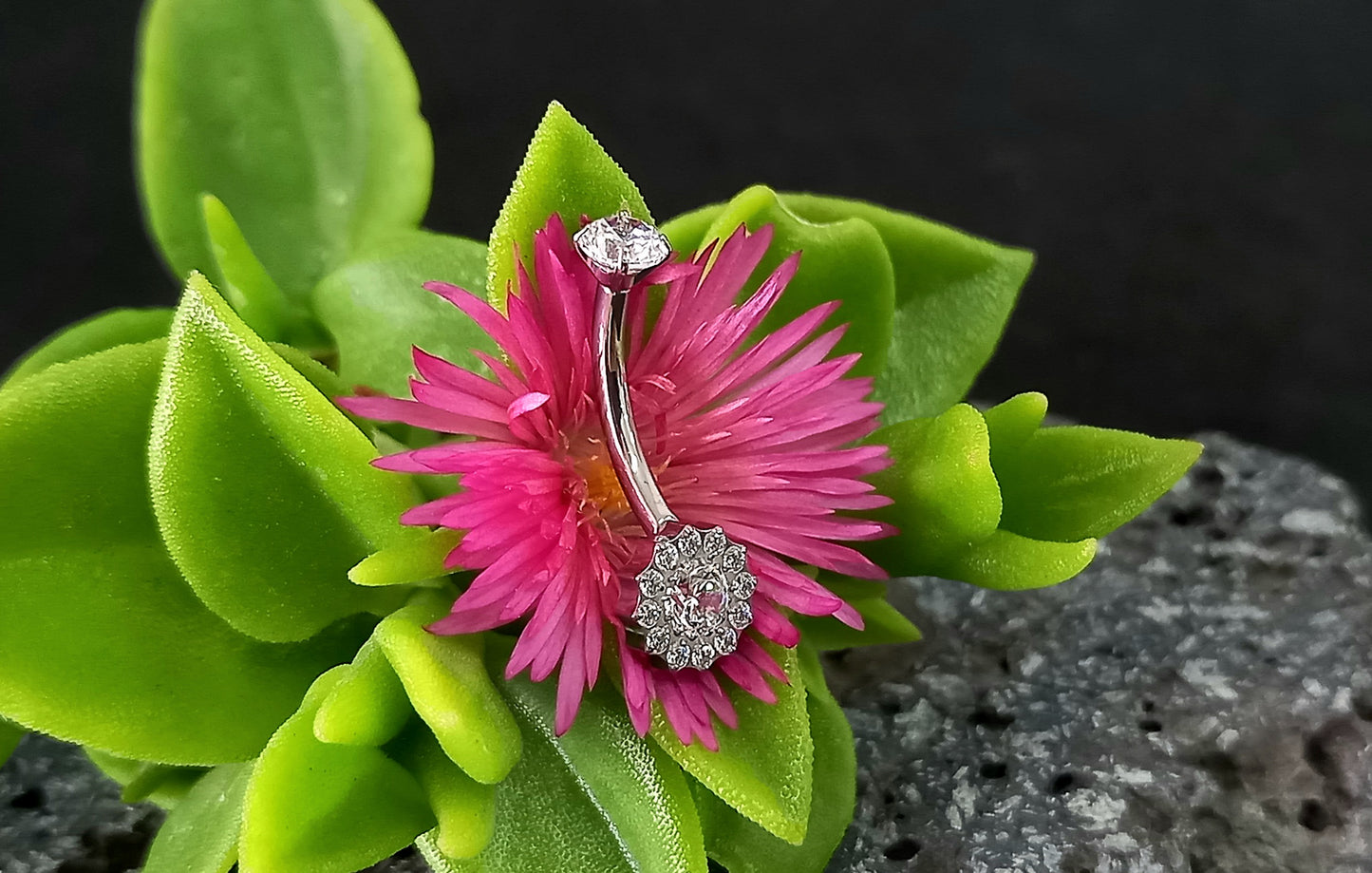 Titanio grado implante. Navel conjunto de bisel Cz.