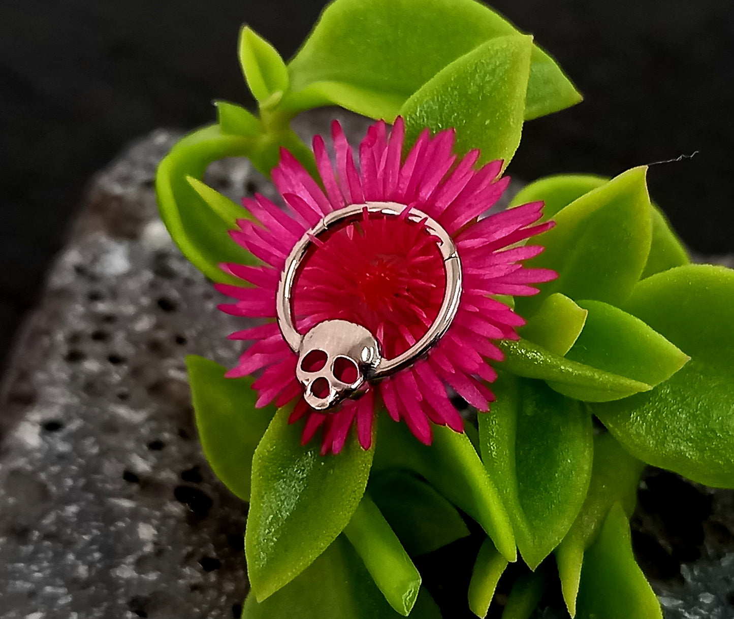 Titanio grado implante. Clicker calavera