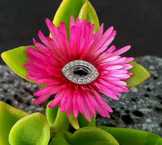 Top ovalo clear y black - titanio grado implante ASTM F-136