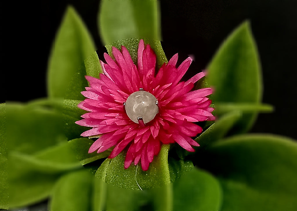 Ball jade verde 4 mm - titanio grado implante ASTM F-136