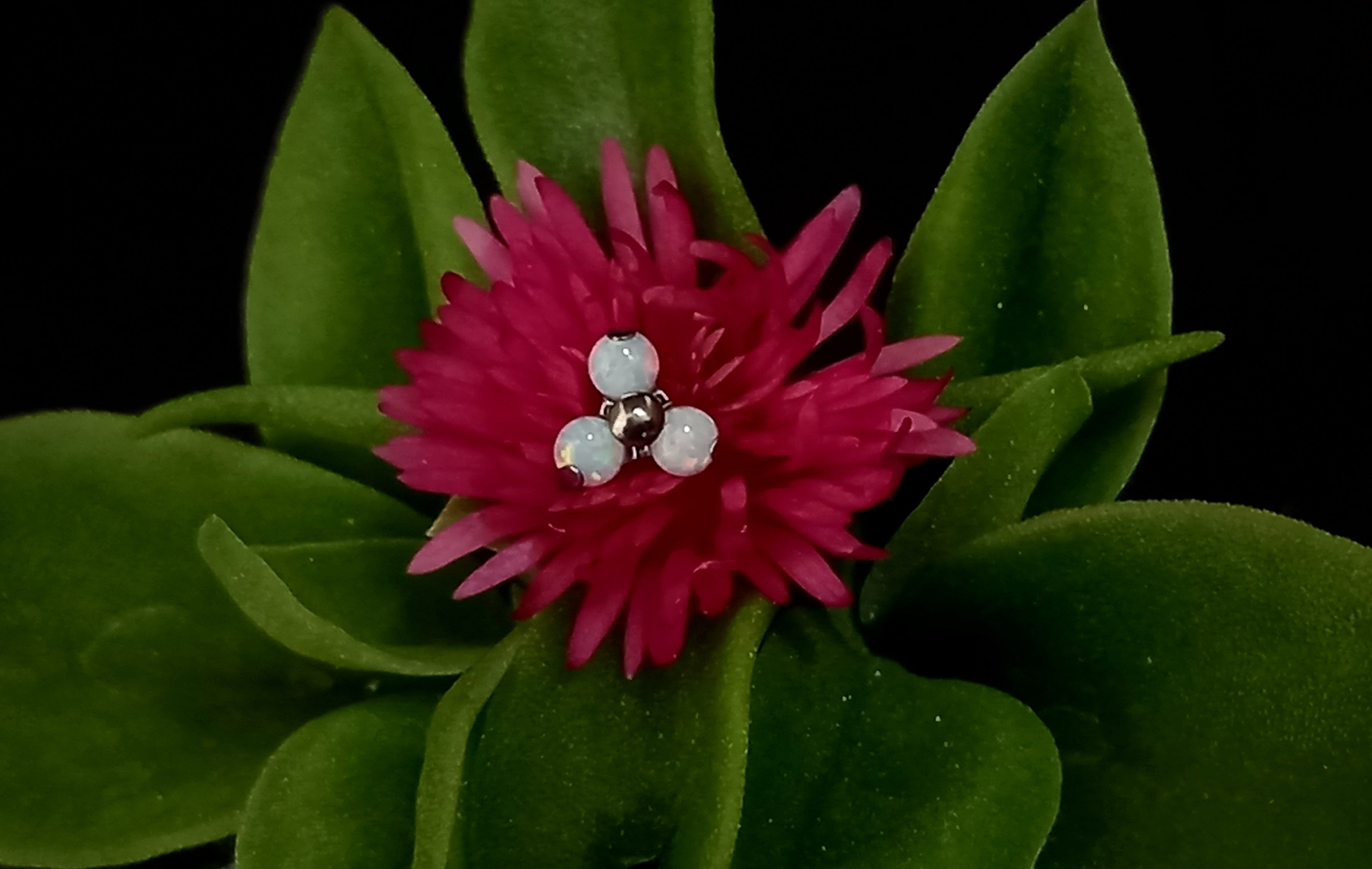 Trinity opalo blanco - titanio grado implante ASTM F-136