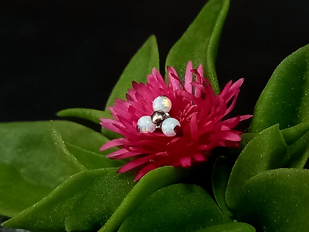 Trinity opalo blanco - titanio grado implante ASTM F-136