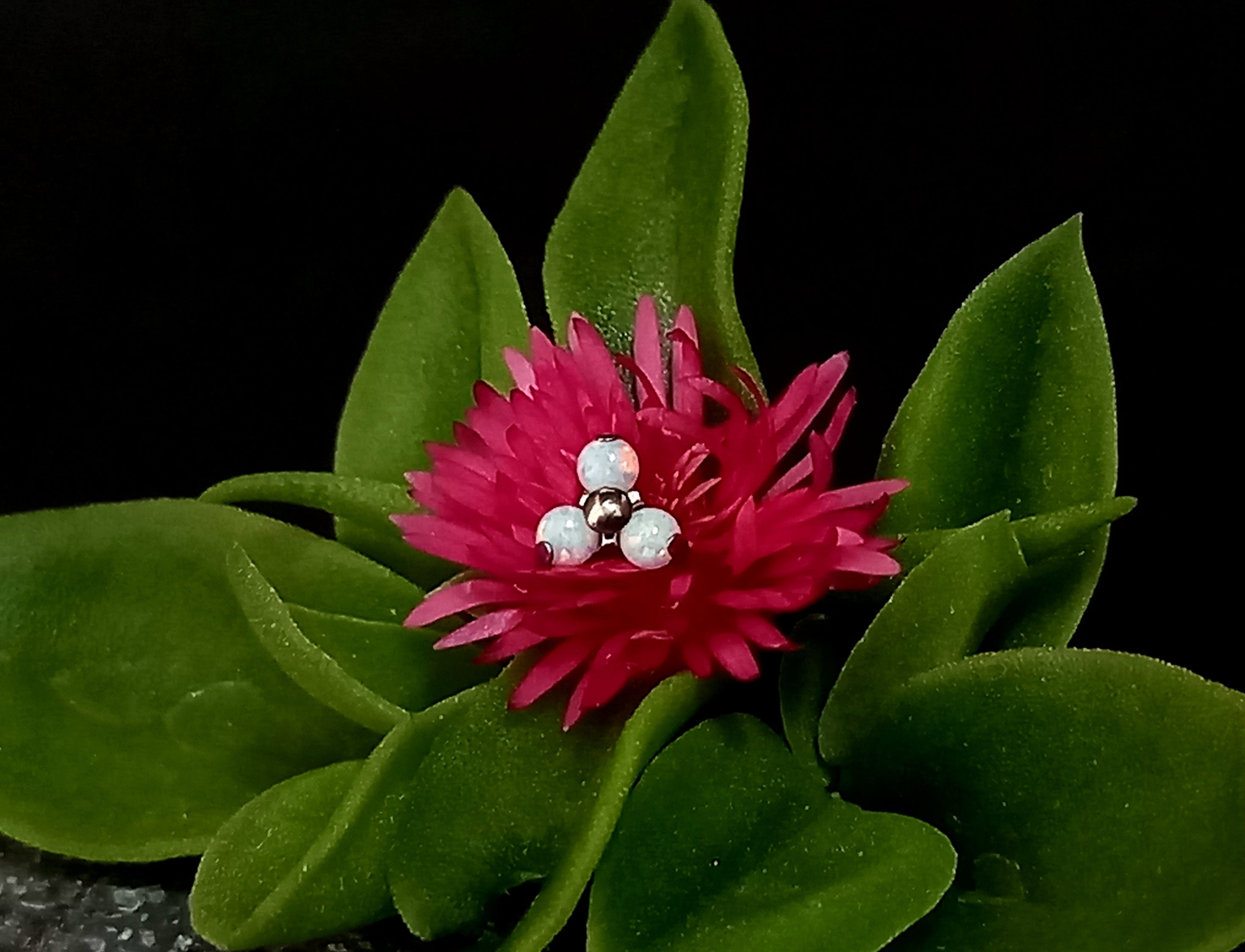 Trinity opalo blanco - titanio grado implante ASTM F-136