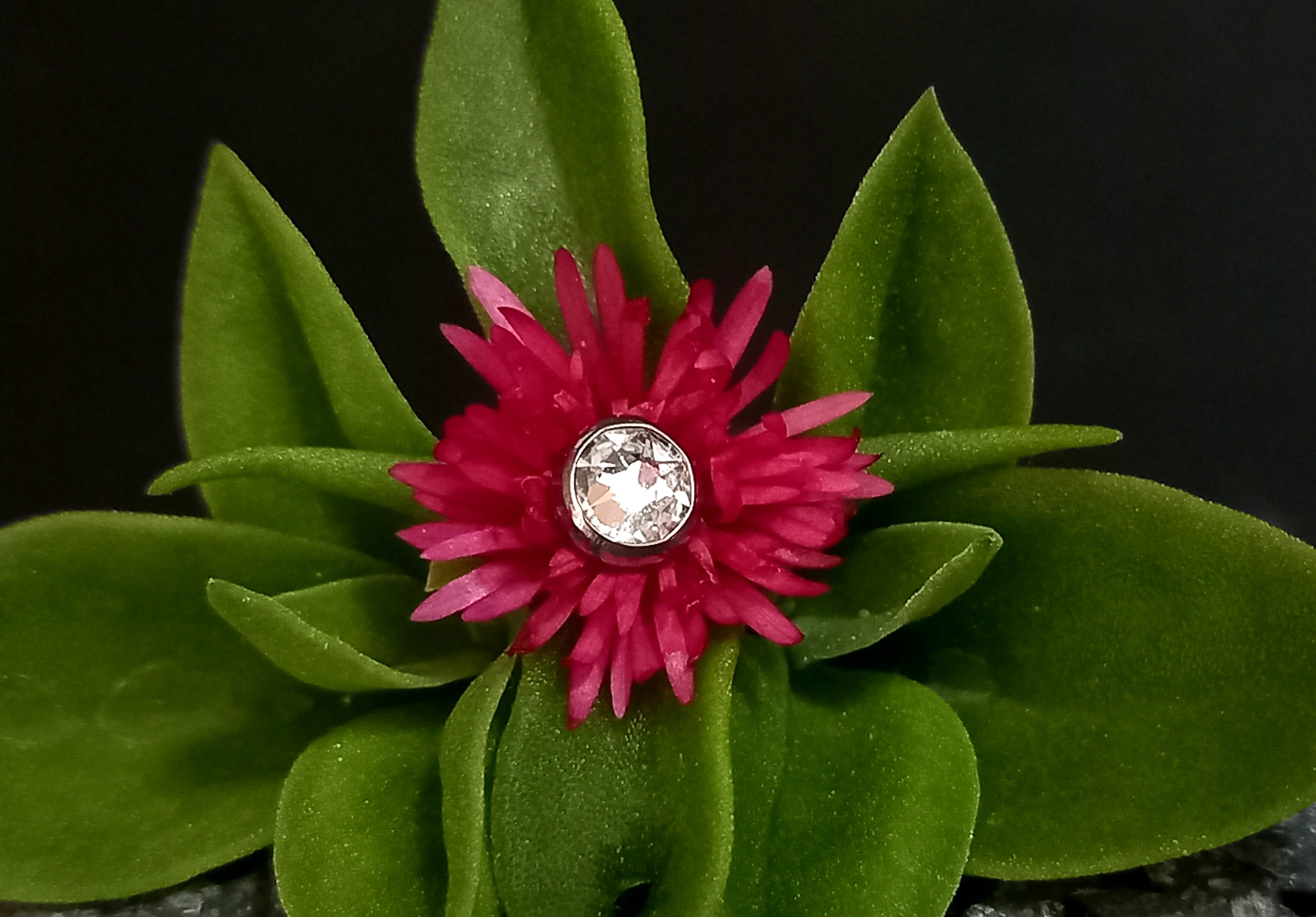 Top Cristal Swarovski - titanio grado implante ASTM F-136