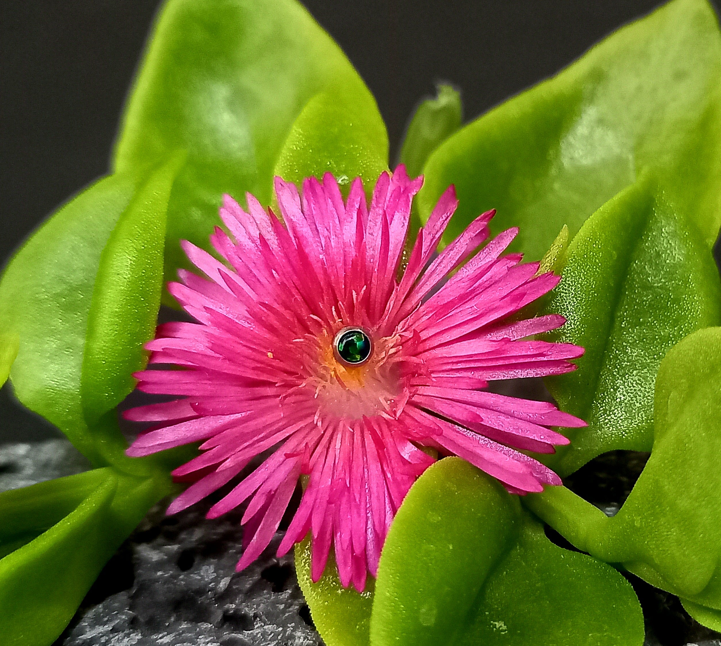 Punto de luz - titanio grado implante ASTM F-136