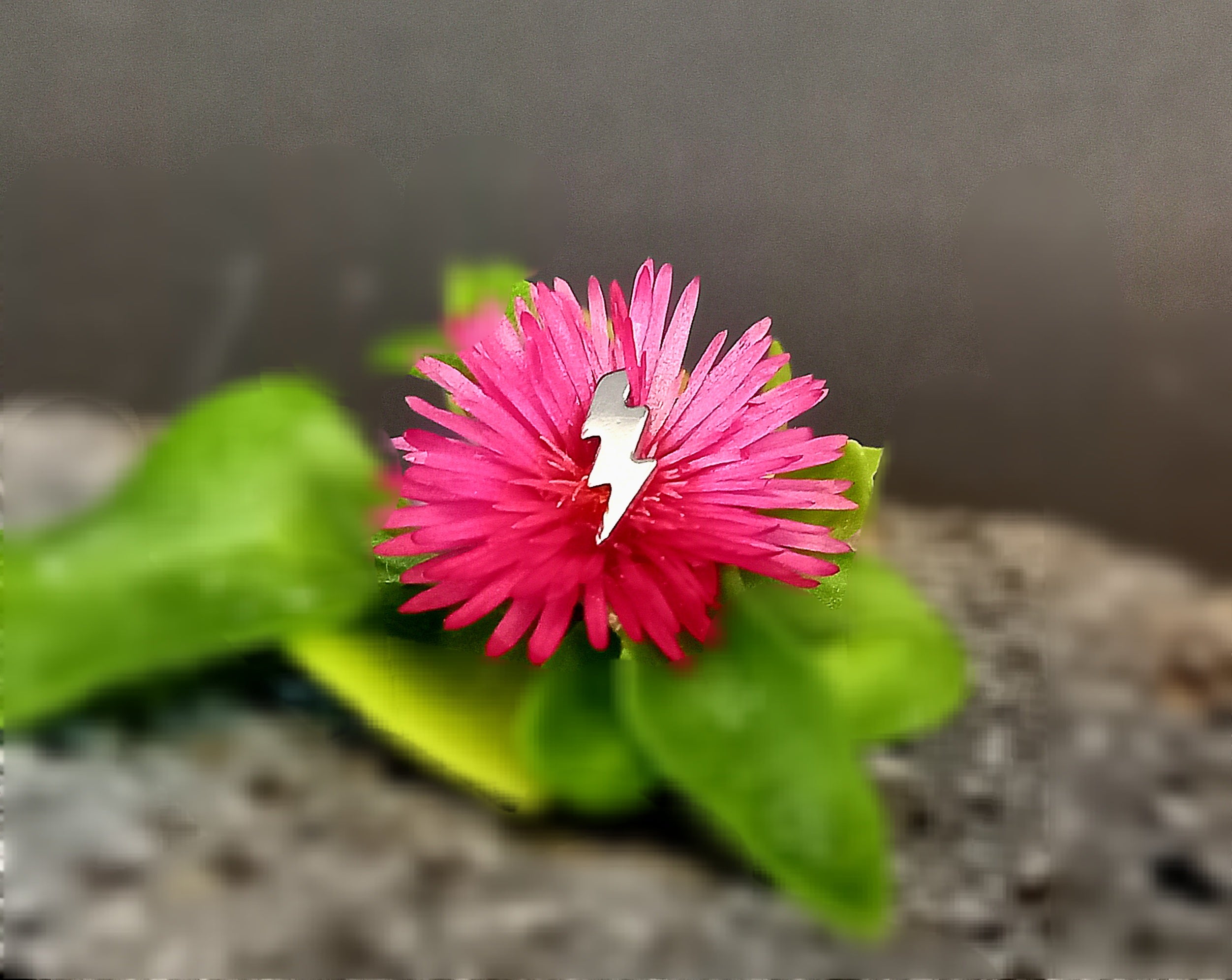 Rayo 1 - titanio grado implante ASTM F-136