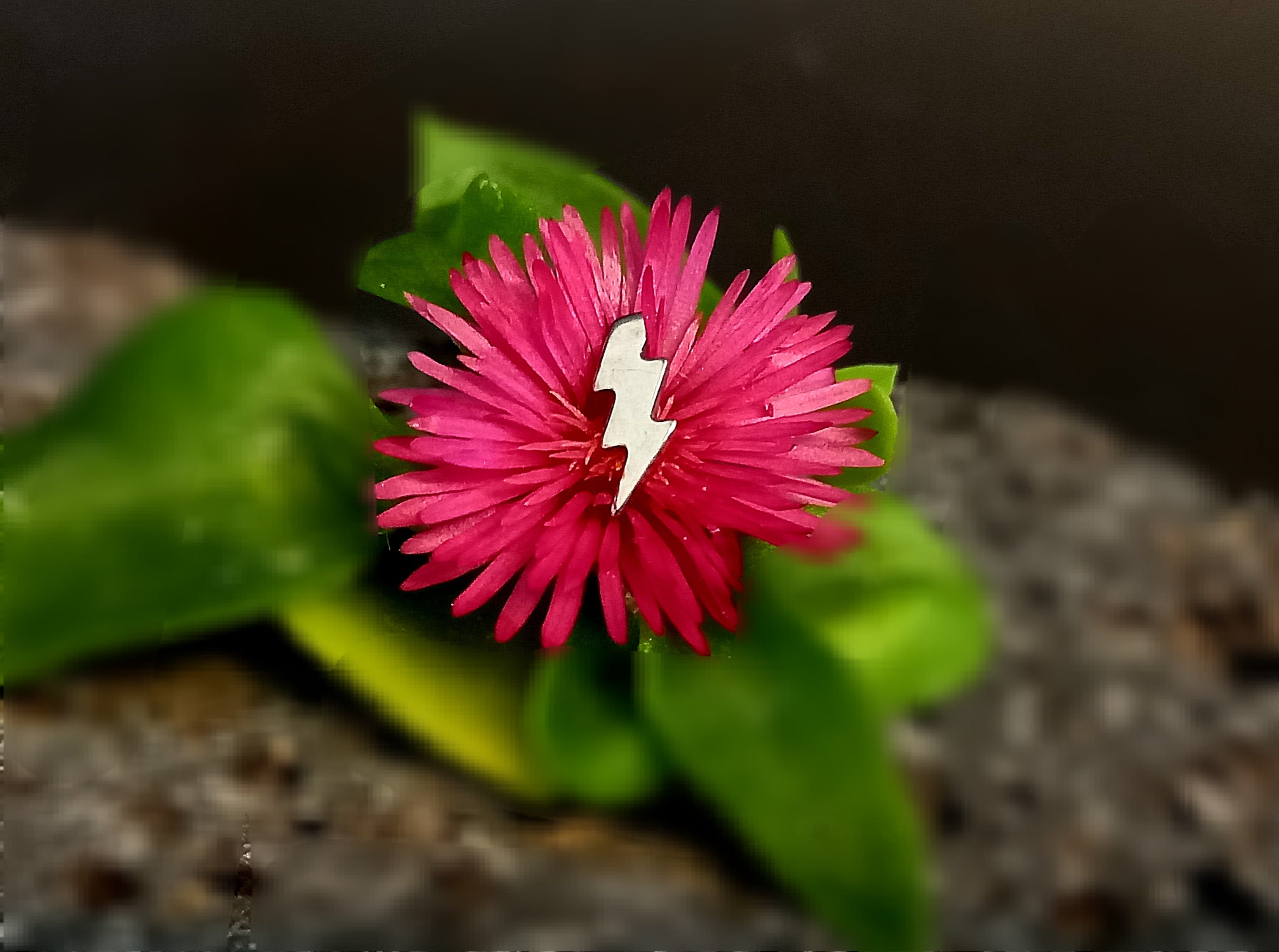 Rayo 1 - titanio grado implante ASTM F-136