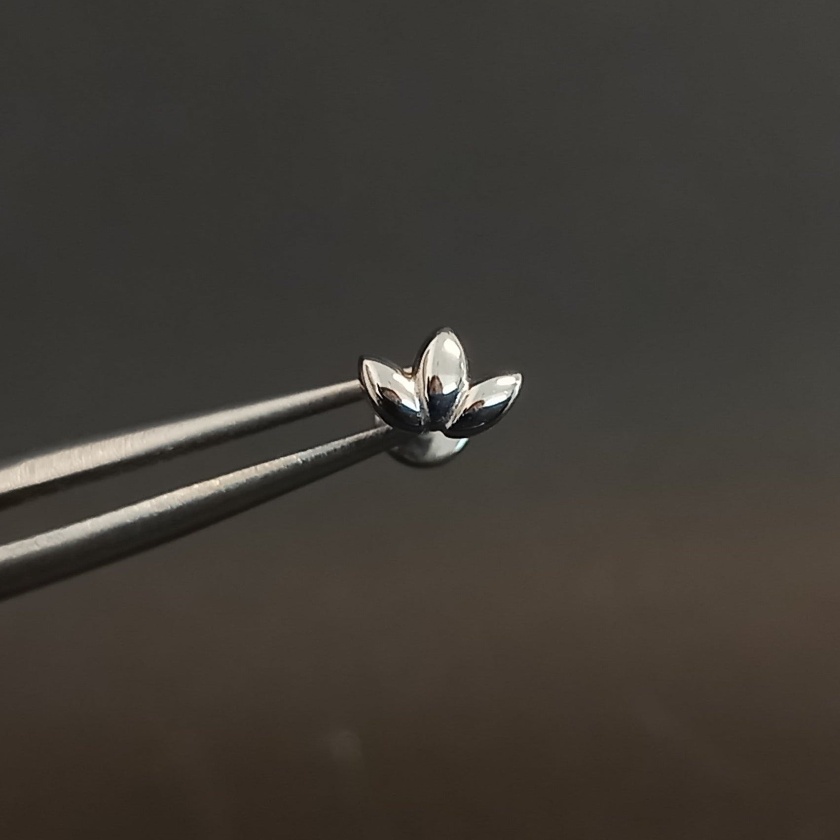 Marquesa - titanio grado implante ASTM F-136