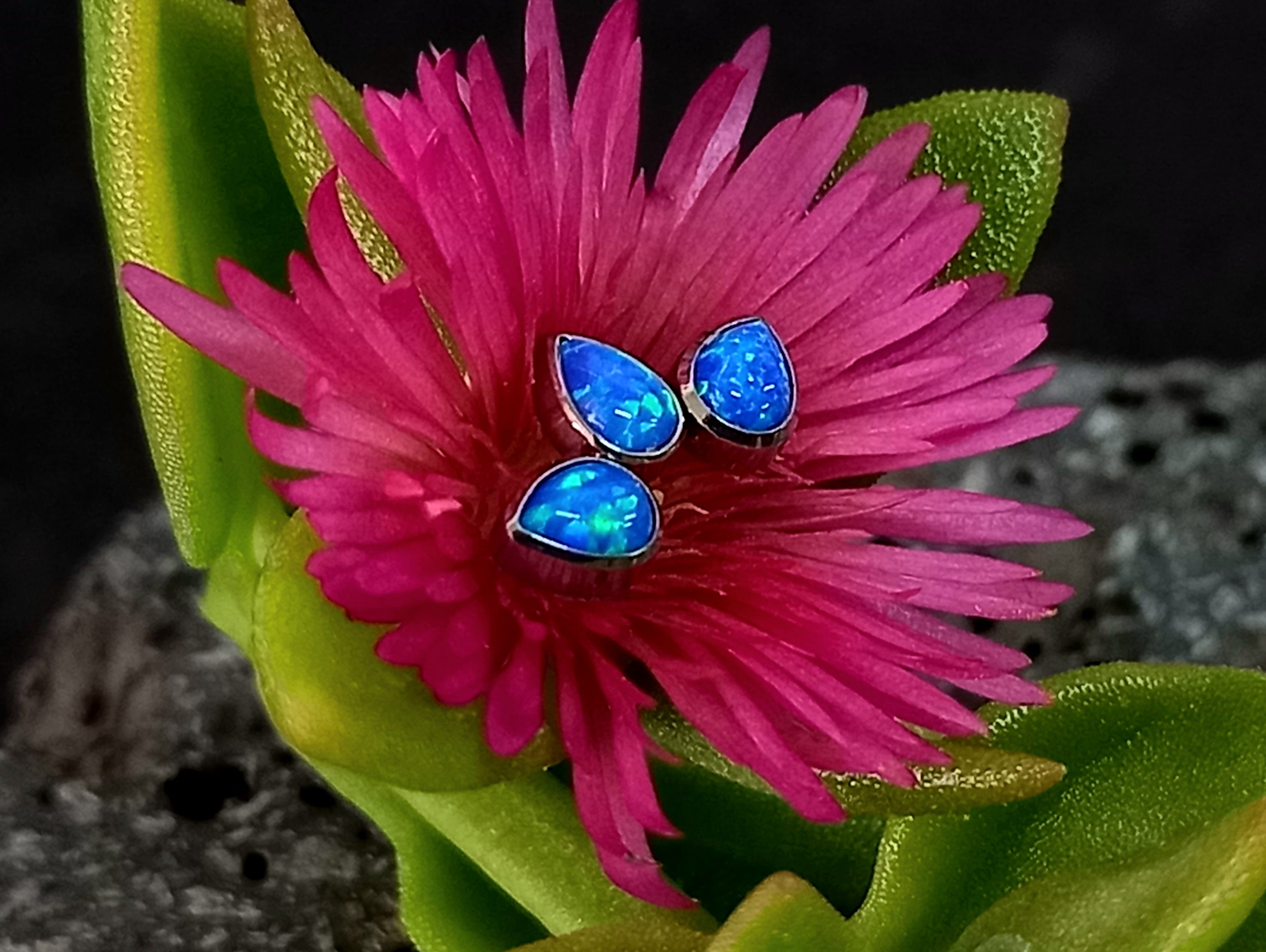 Marquesa opalo azul - titanio grado implante ASTM F-136