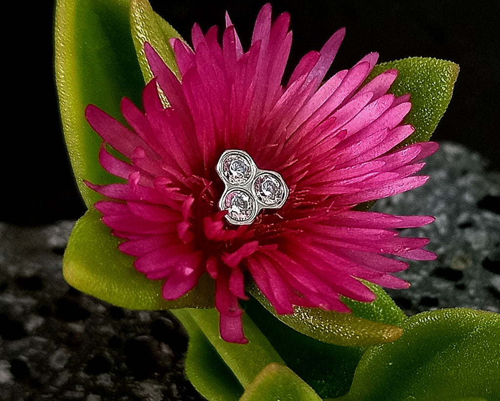 Panal - titanio grado implante ASTM F-136