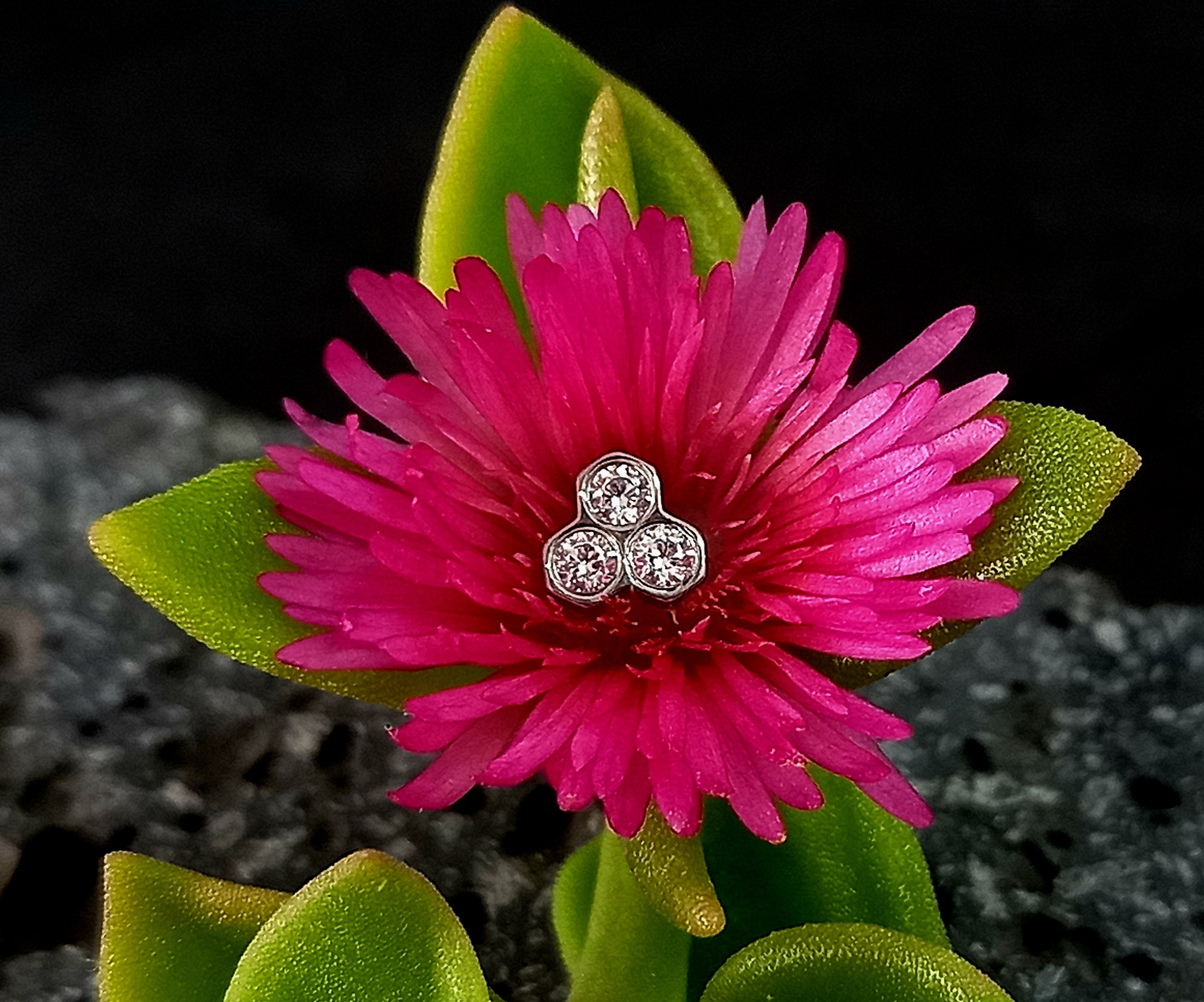 Panal - titanio grado implante ASTM F-136