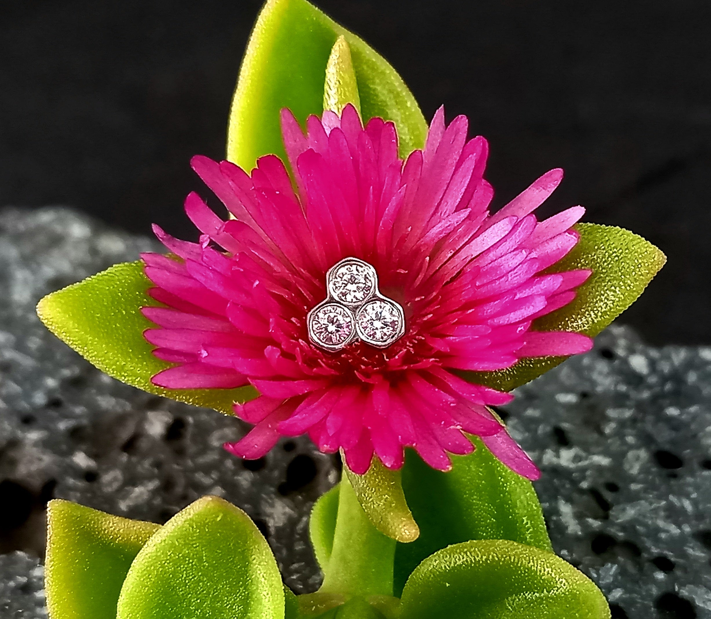 Panal - titanio grado implante ASTM F-136