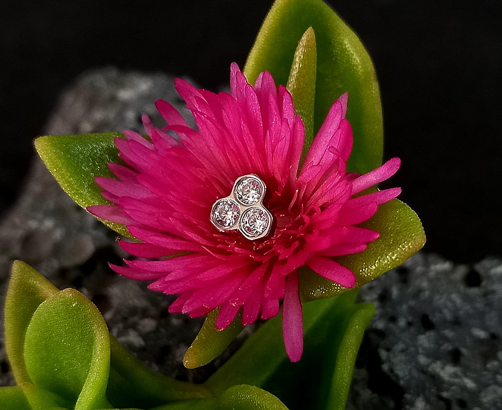 Panal - titanio grado implante ASTM F-136