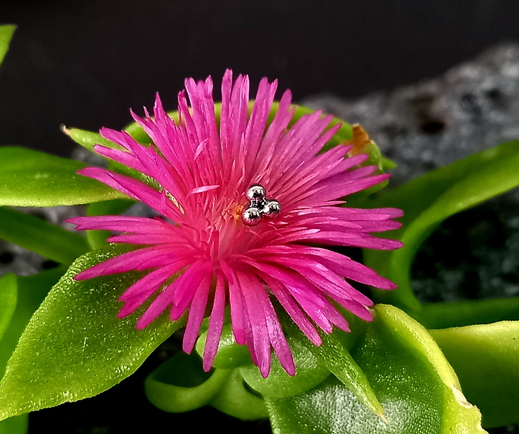 Trinity - titanio grado implante ASTM F-136