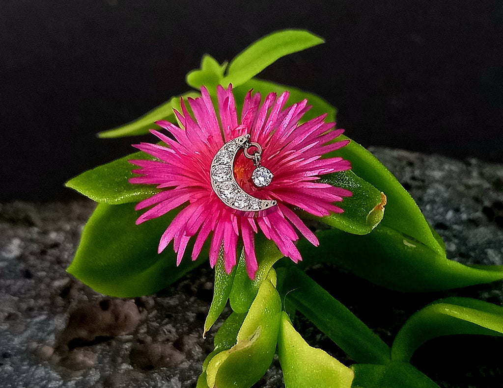 Luna con colgante Cz - titanio grado implante ASTM F-136