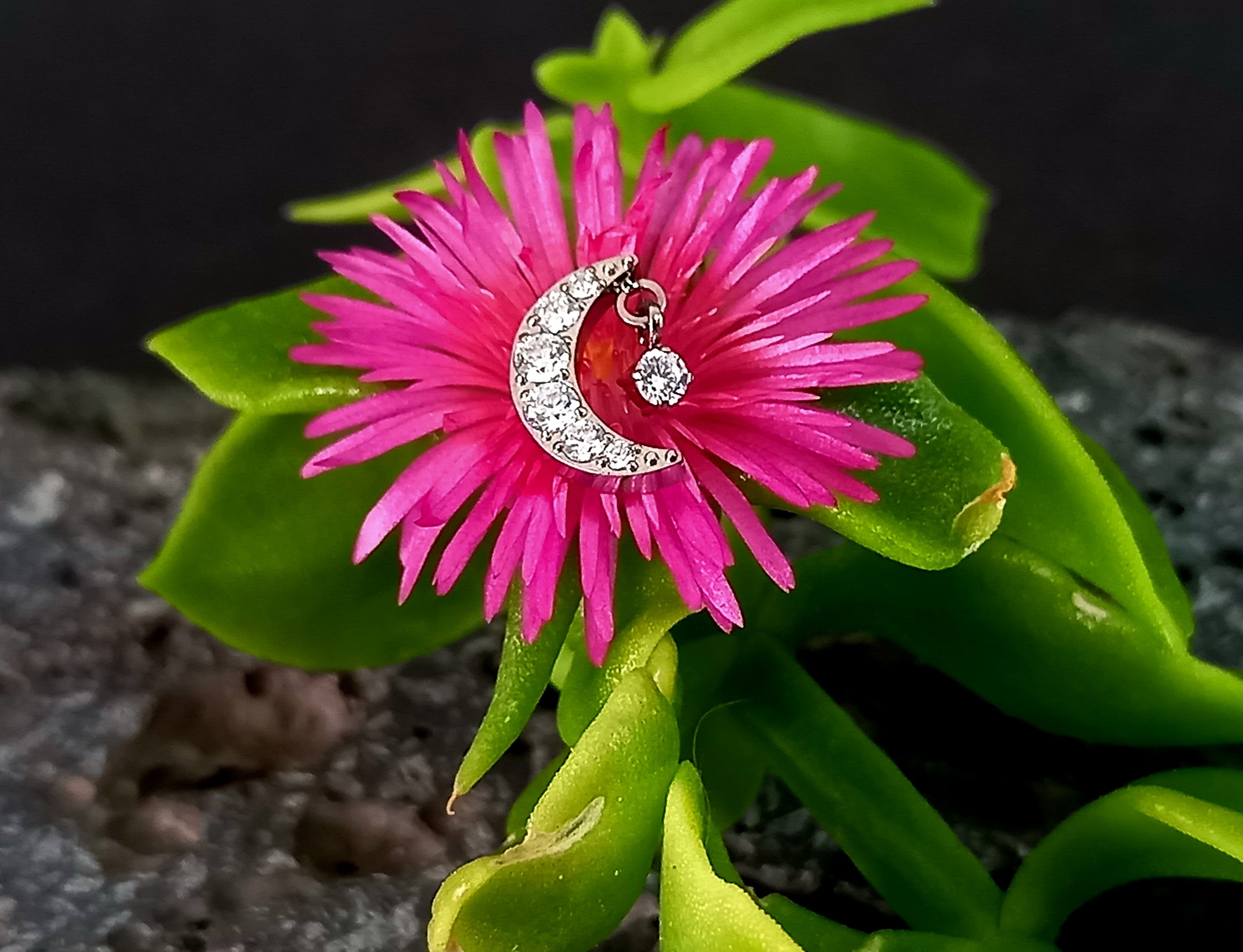 Luna con colgante Cz - titanio grado implante ASTM F-136