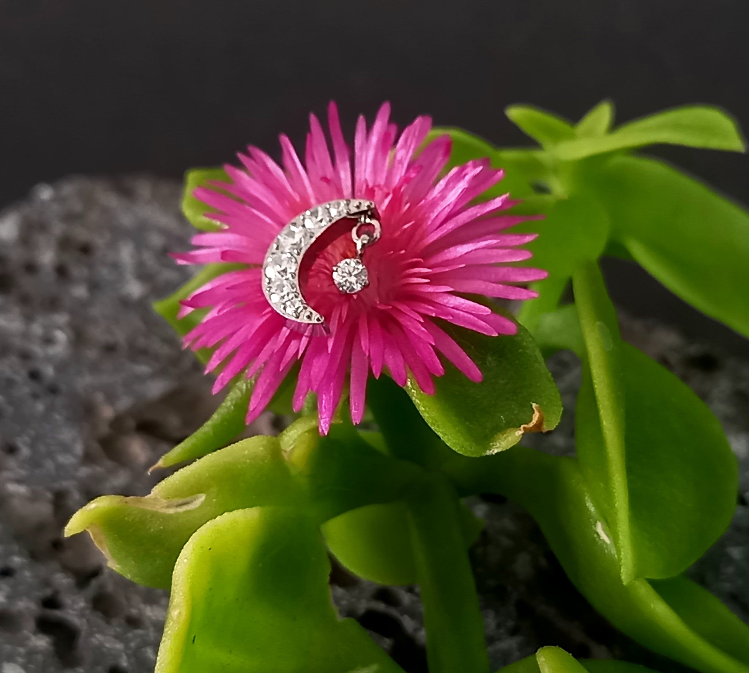 Luna con colgante Cz - titanio grado implante ASTM F-136