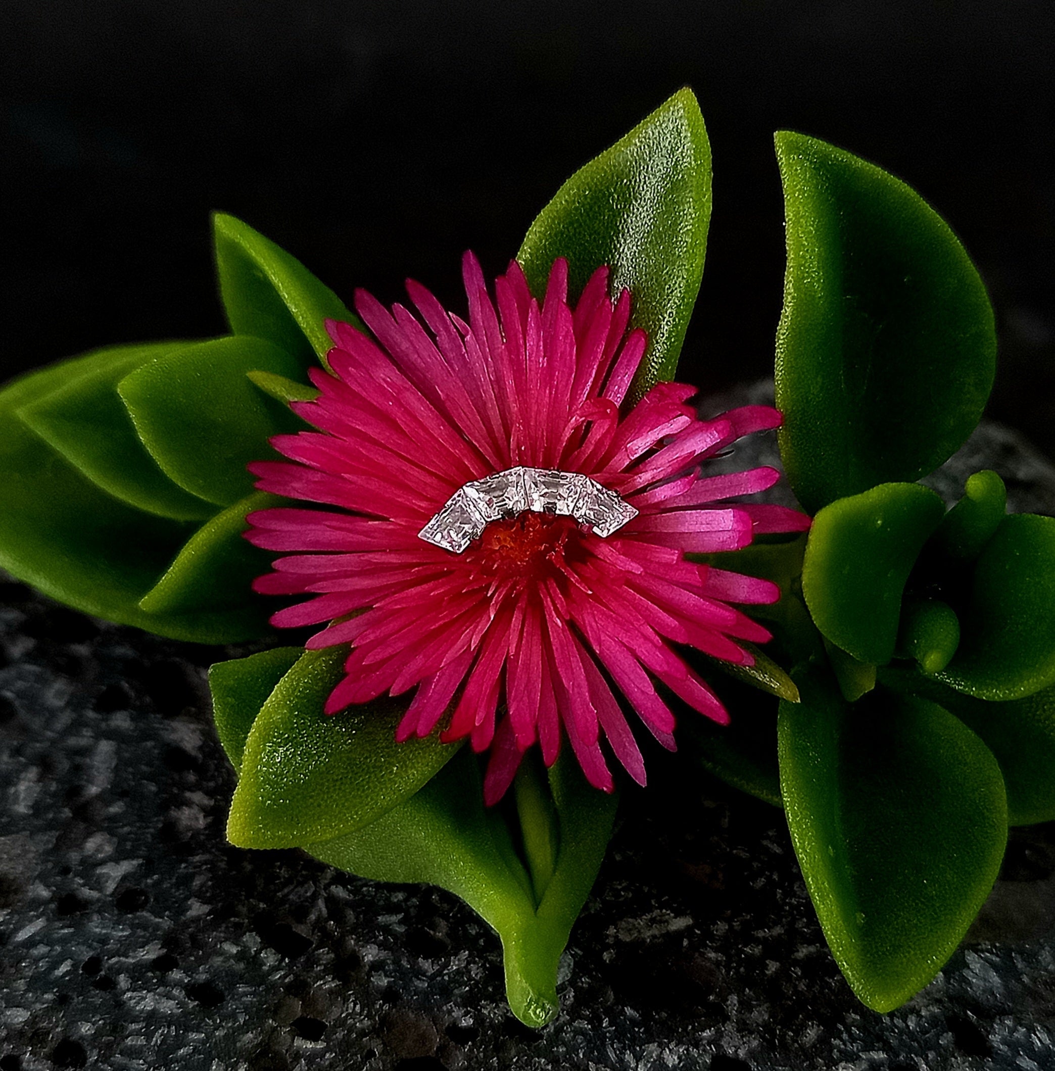 Media luna trapezoidal - titanio grado implante ASTM F-136