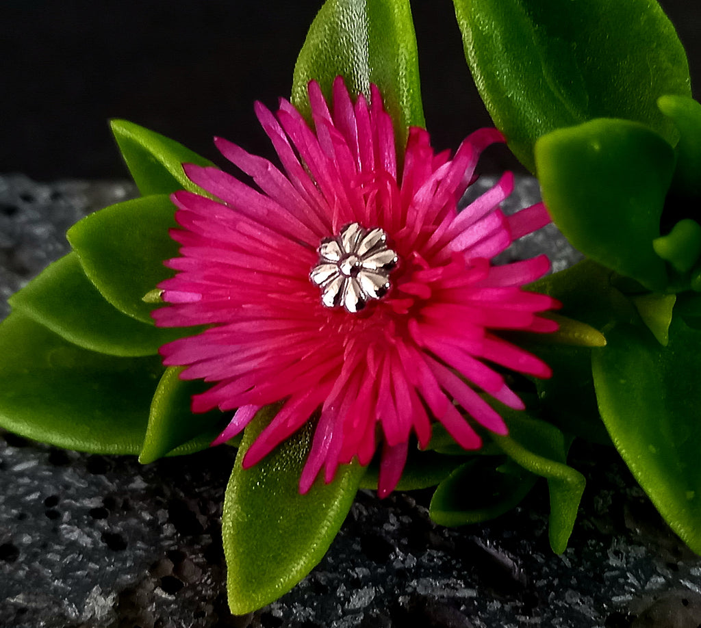 Flor de 8 pétalos - titanio grado implante ASTM F-136