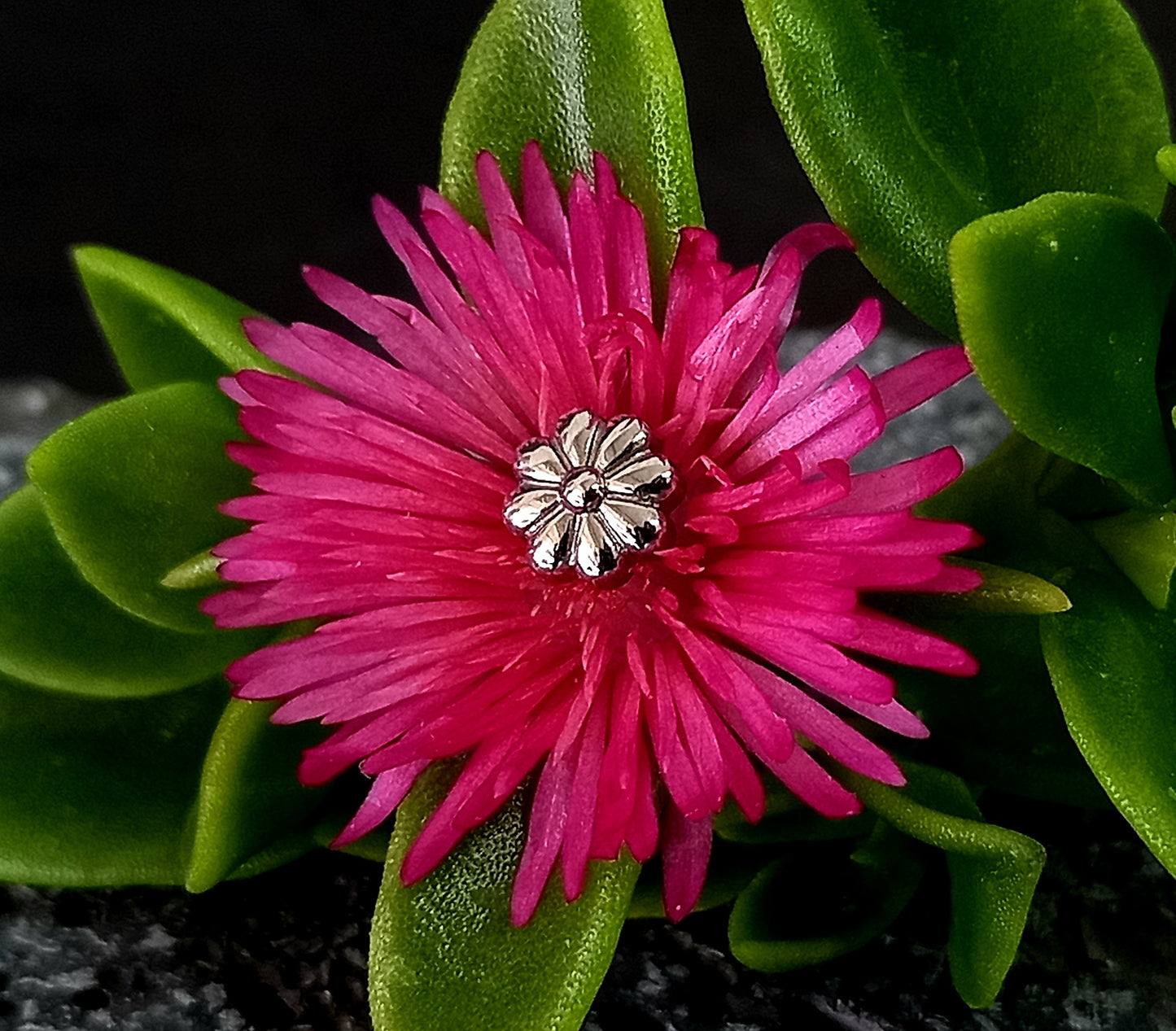 Titanio grado implante. Flor de 8 pétalos