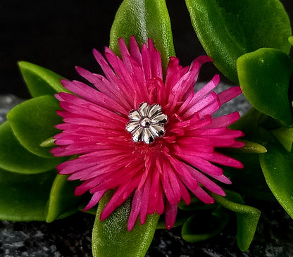 Titanio grado implante. Flor de 8 pétalos
