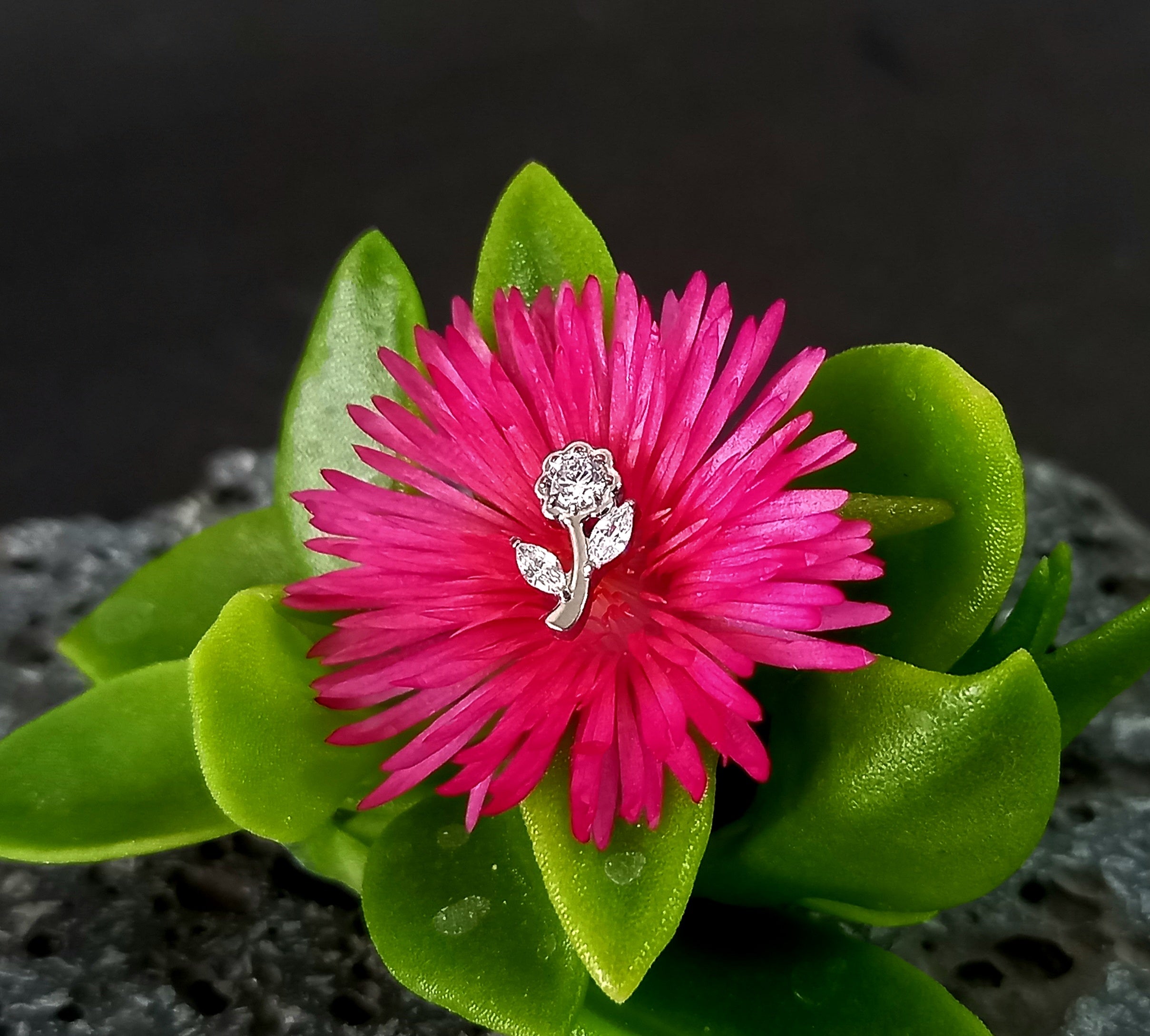 Flor Cz clear - titanio grado implante ASTM F-136