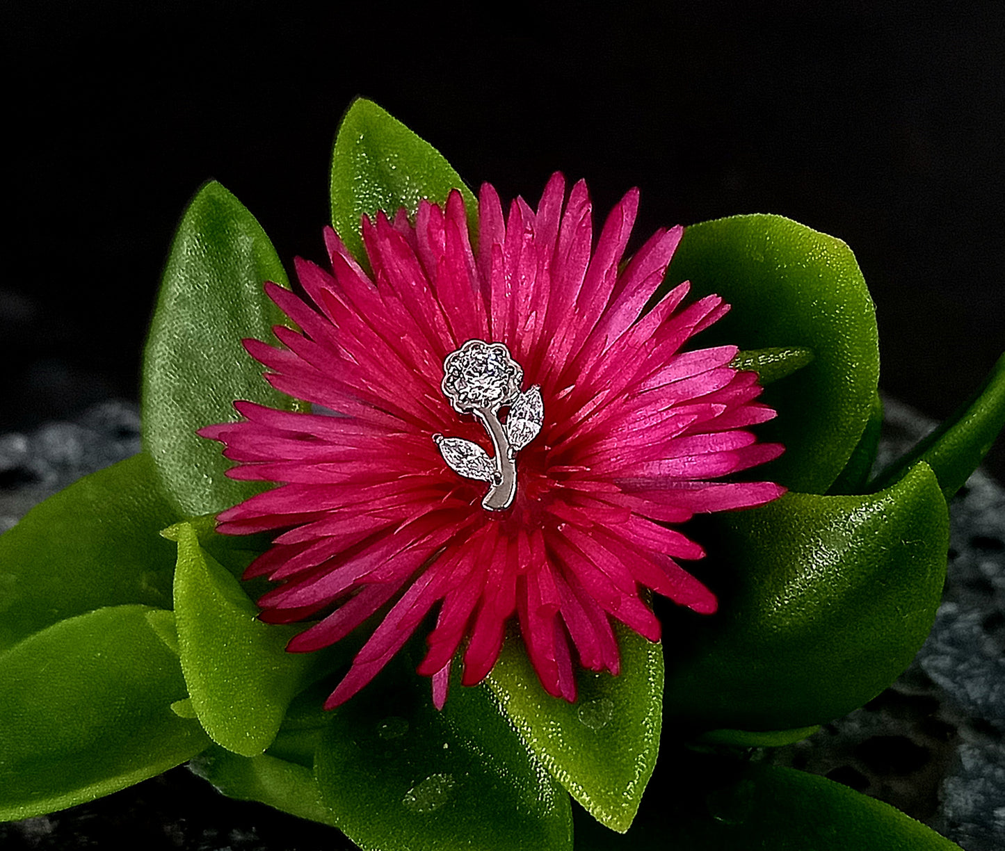 Flor Cz clear - titanio grado implante ASTM F-136