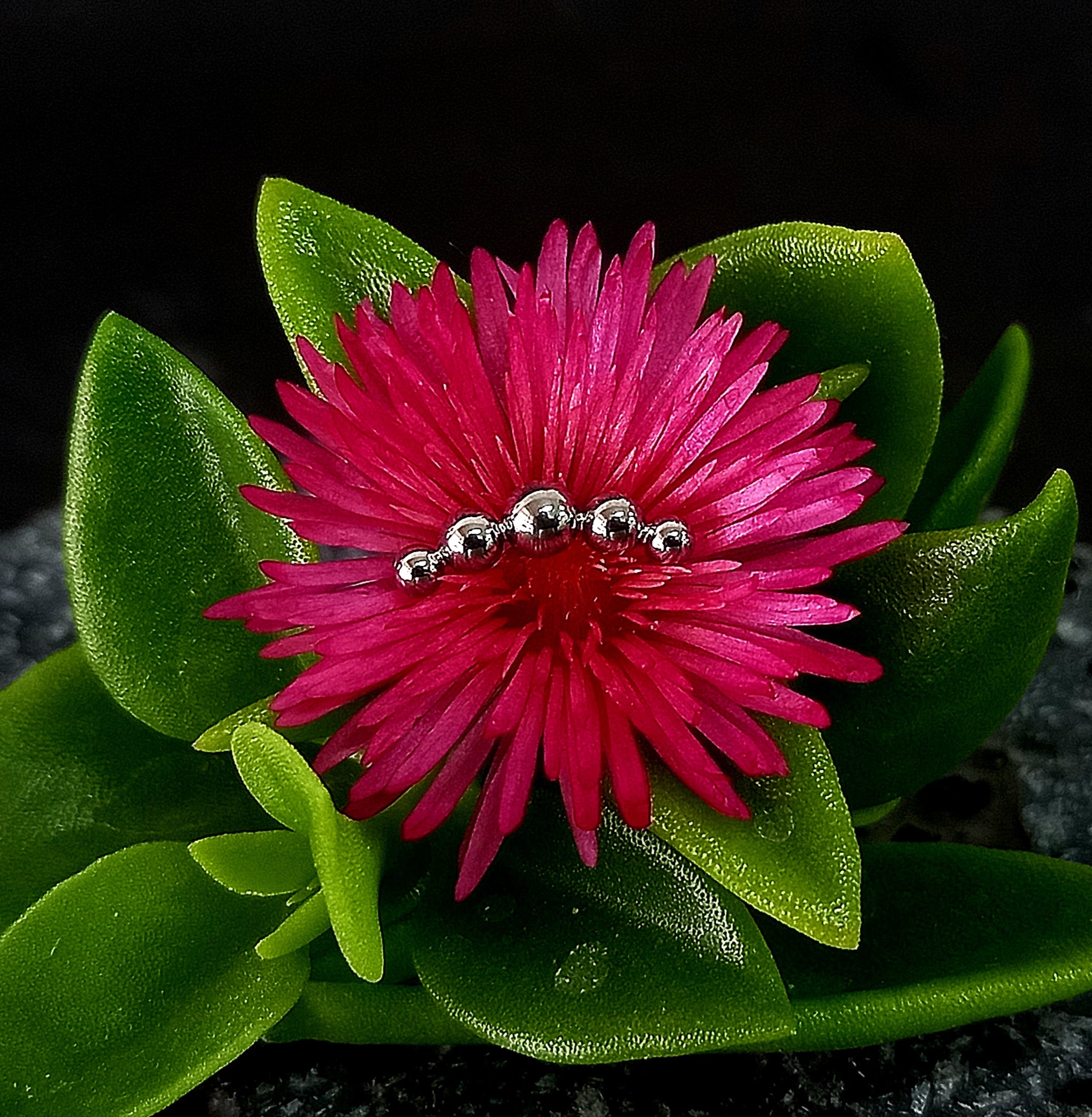 Media luna 5 esferas - titanio grado implante ASTM F-136