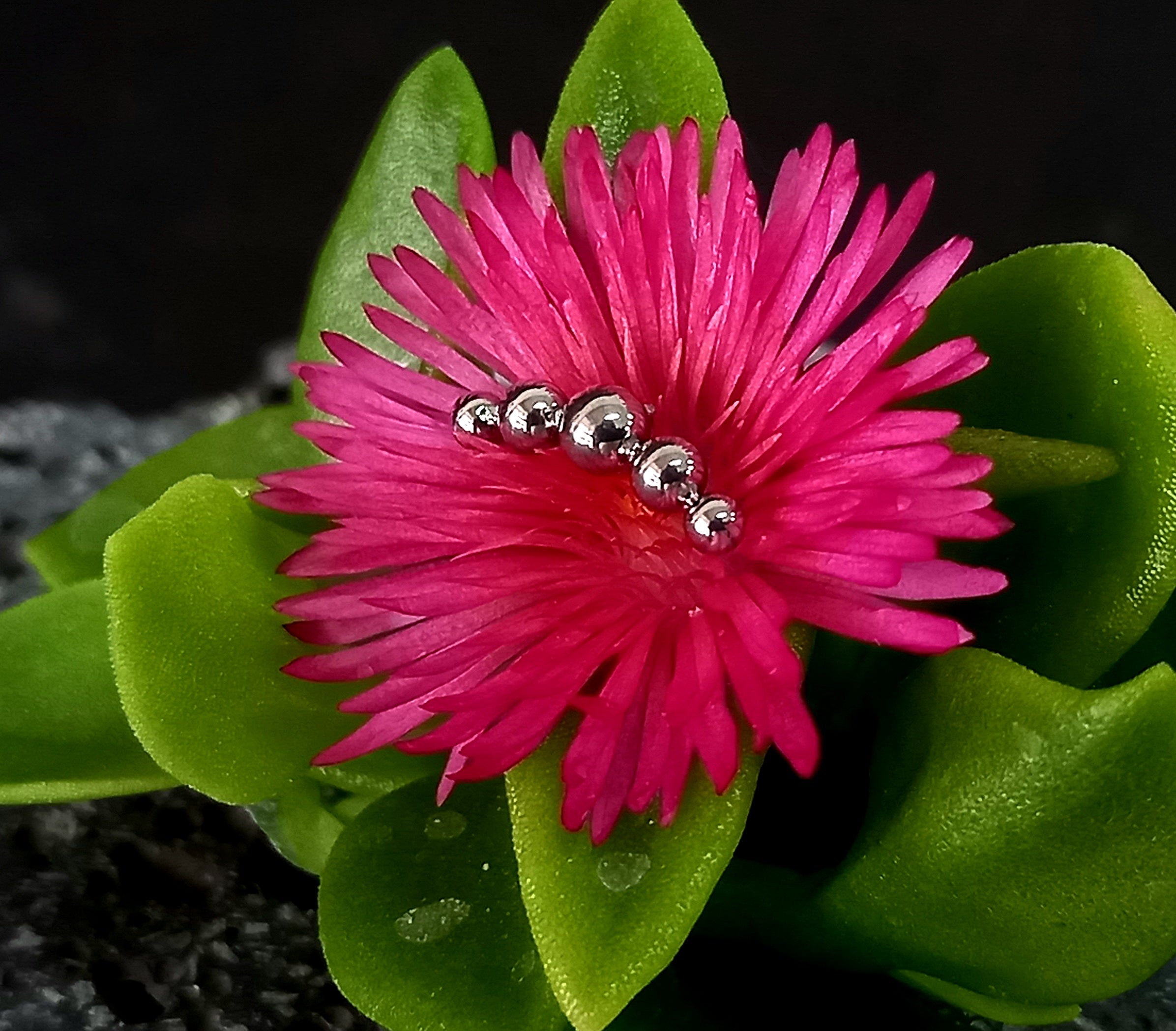 Media luna 5 esferas - titanio grado implante ASTM F-136