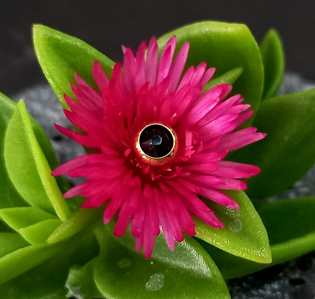 Top cristal Swarovski - PVD oro de 24k