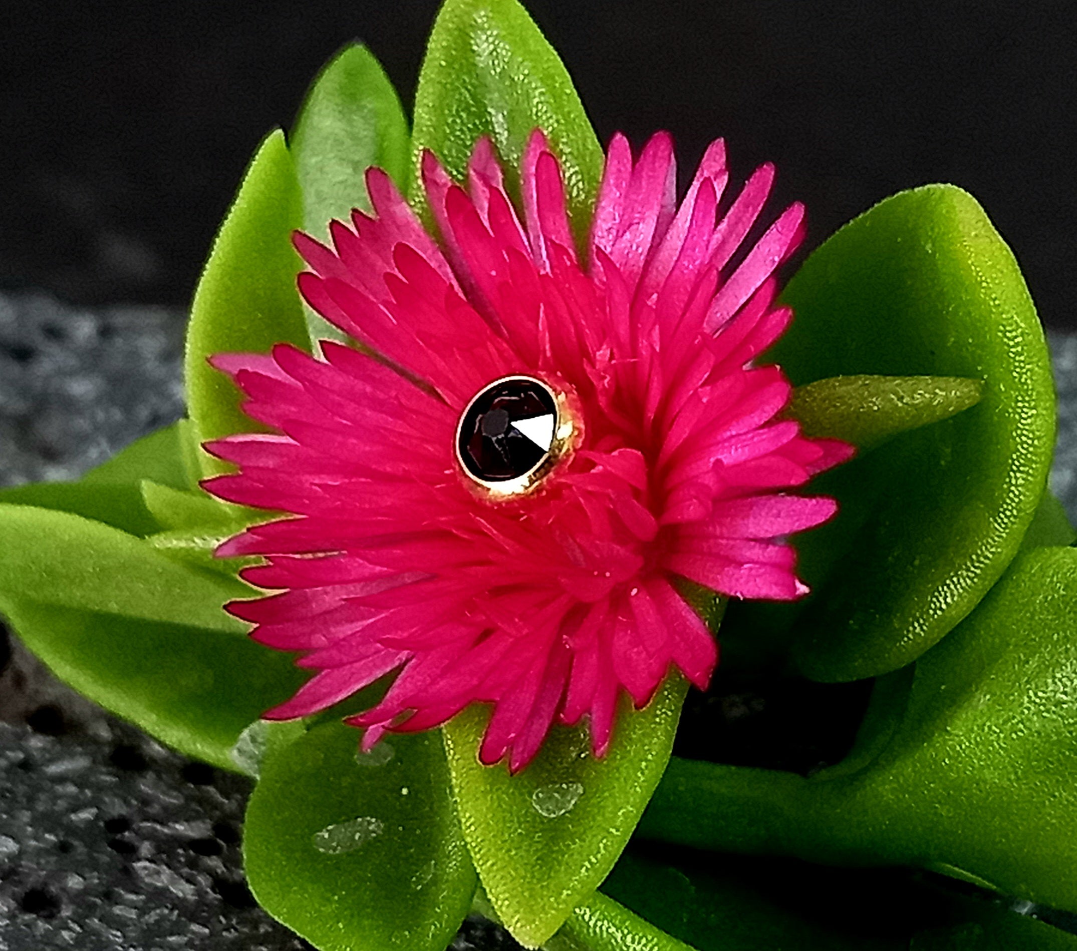 Top cristal Swarovski - PVD oro de 24k