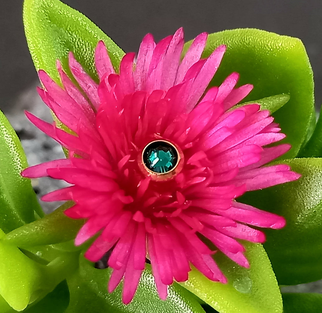 Top cristal Swarovski - PVD oro de 24k