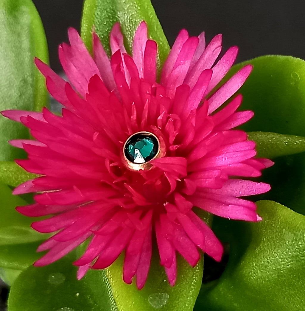 Top cristal Swarovski - PVD oro de 24k