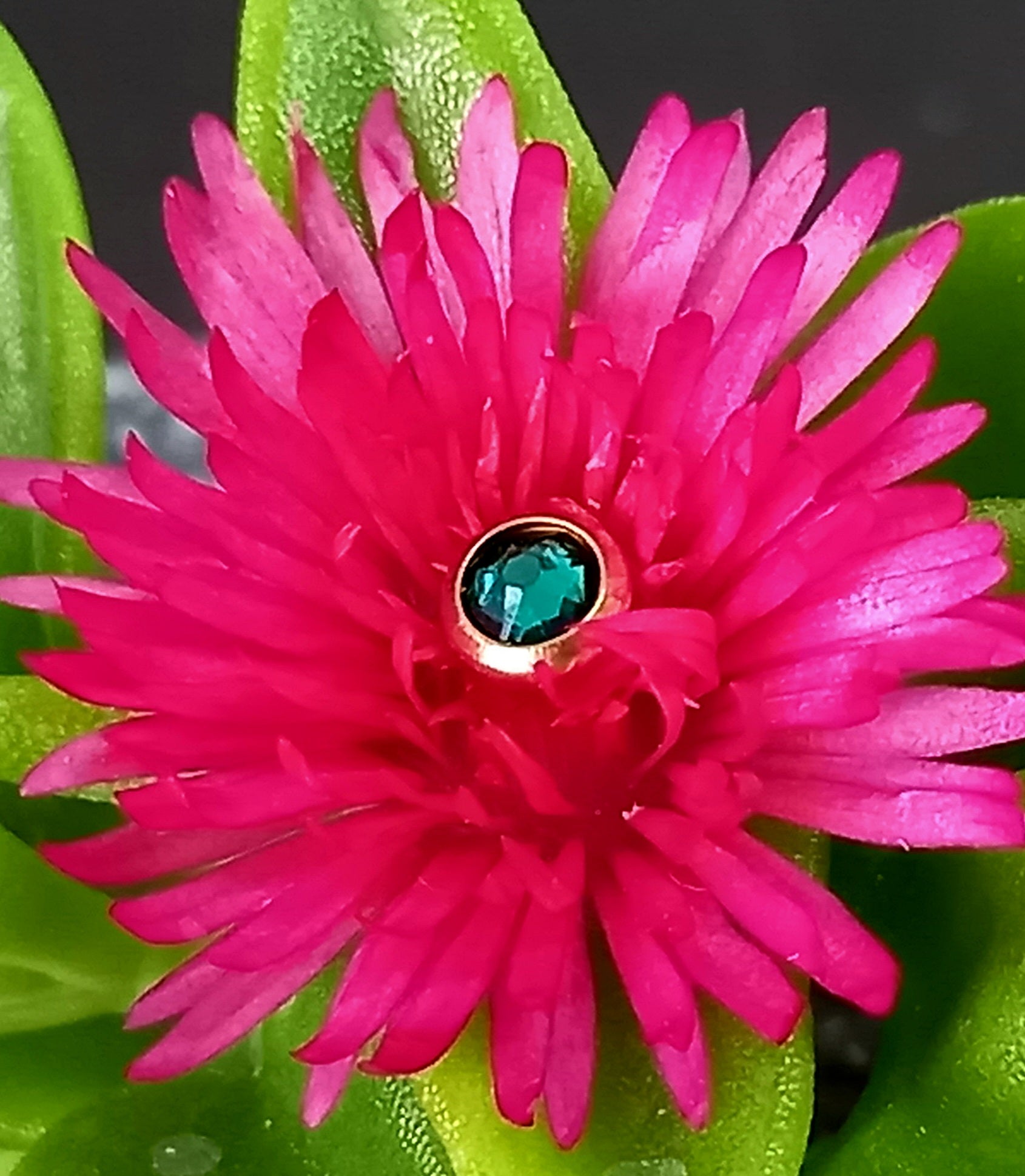 Top cristal Swarovski - PVD oro de 24k