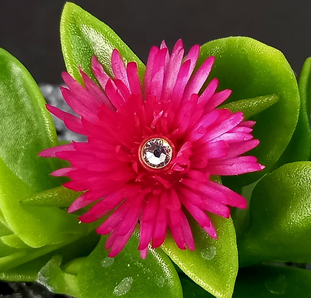 Top cristal Swarovski - PVD oro de 24k