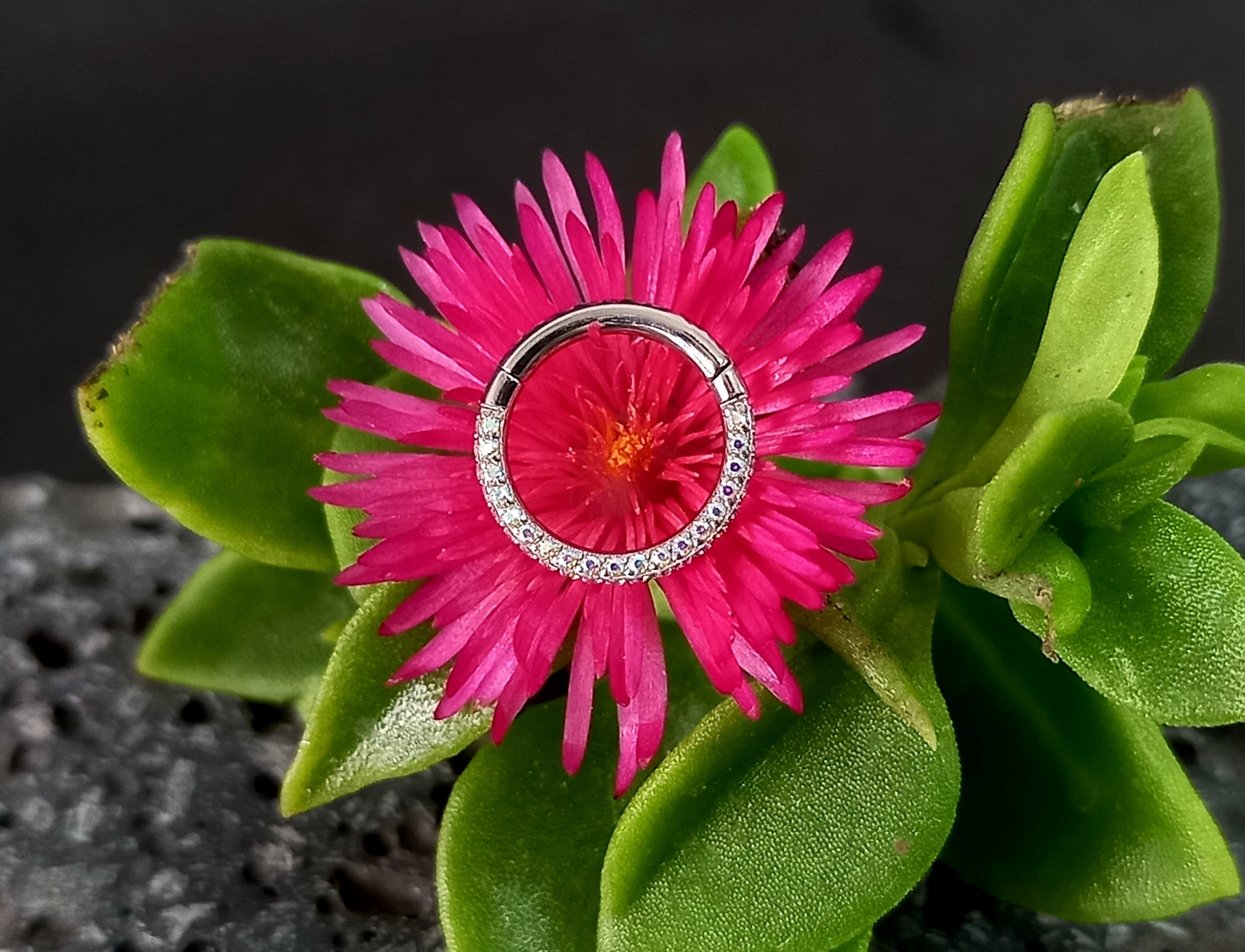 Argolla clicker con brillo lateral y frontal