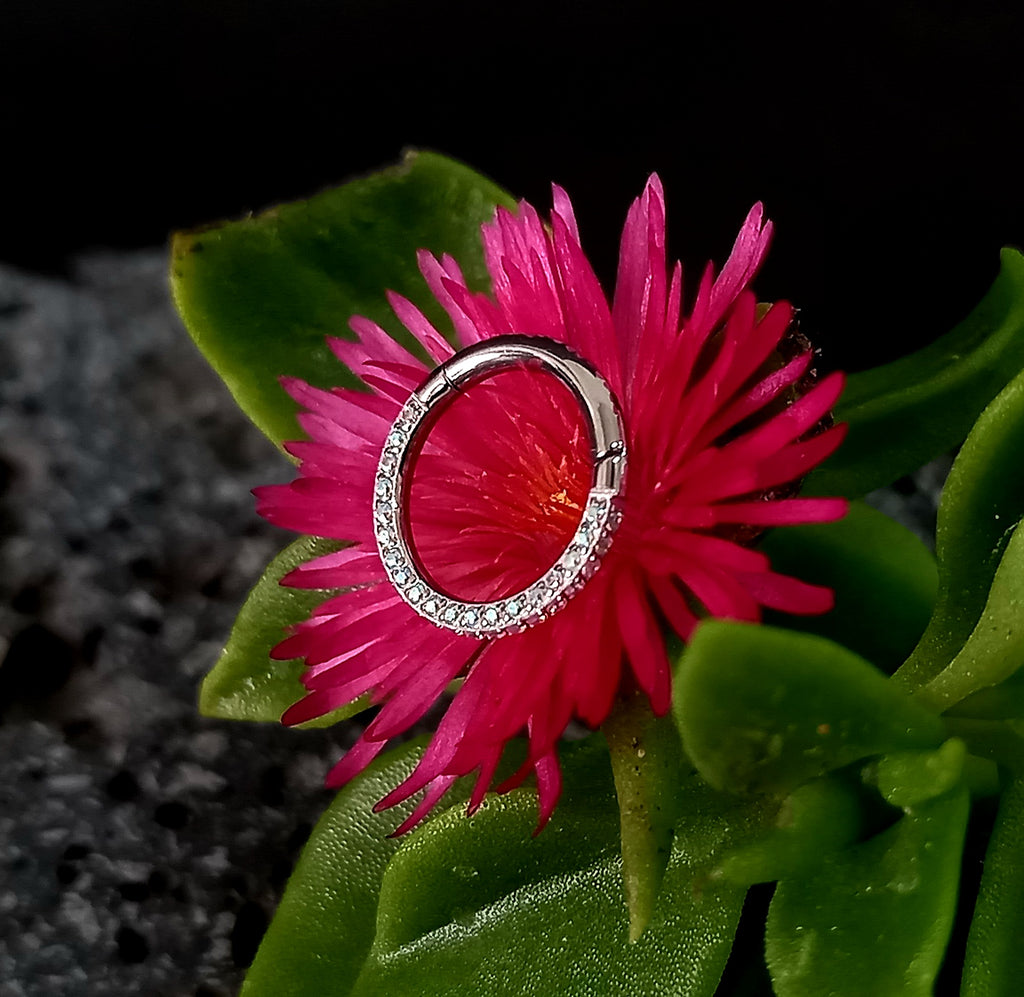 Argolla clicker con brillo lateral y frontal