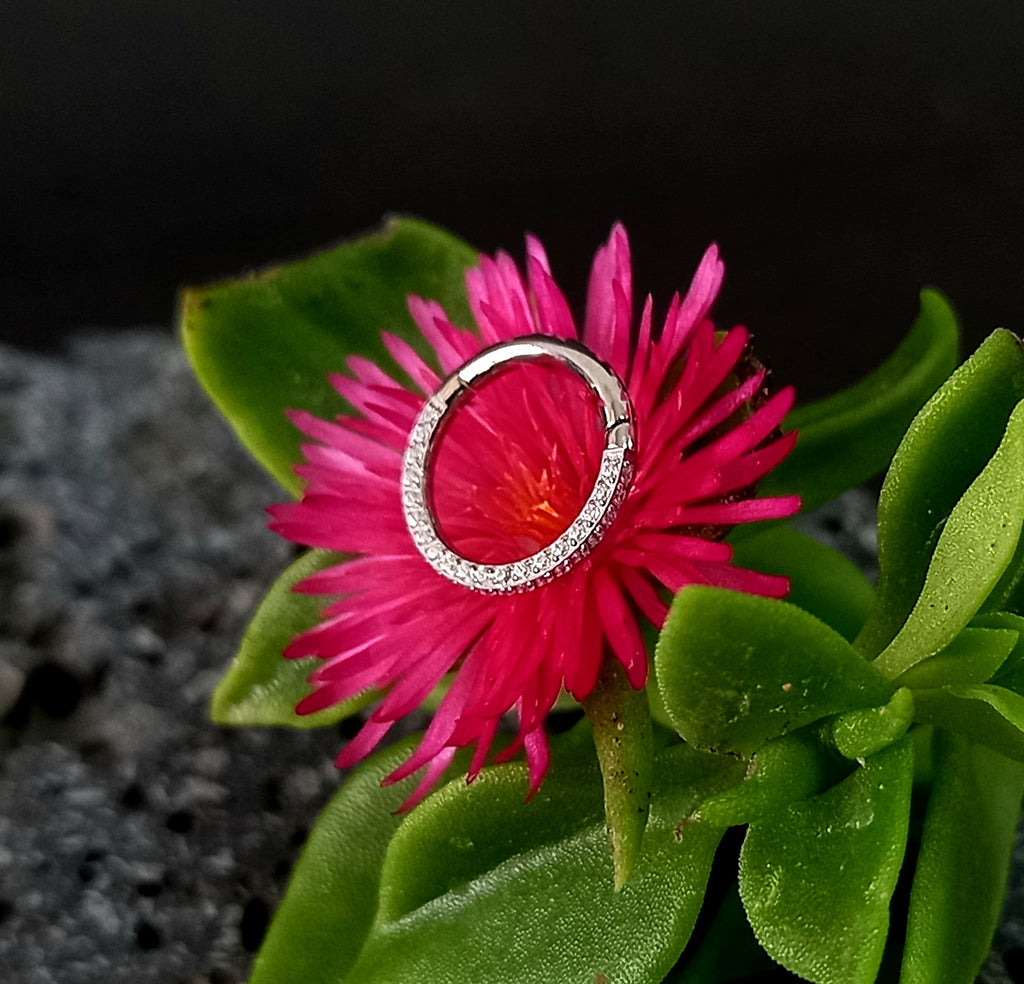 Argolla clicker con brillo lateral y frontal