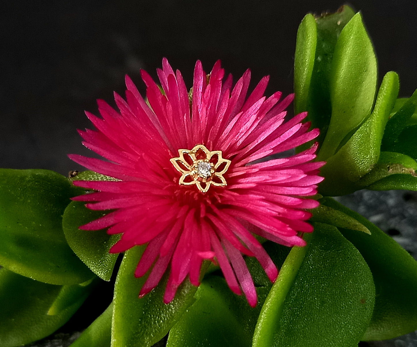 Oro 14k. Flor de loto