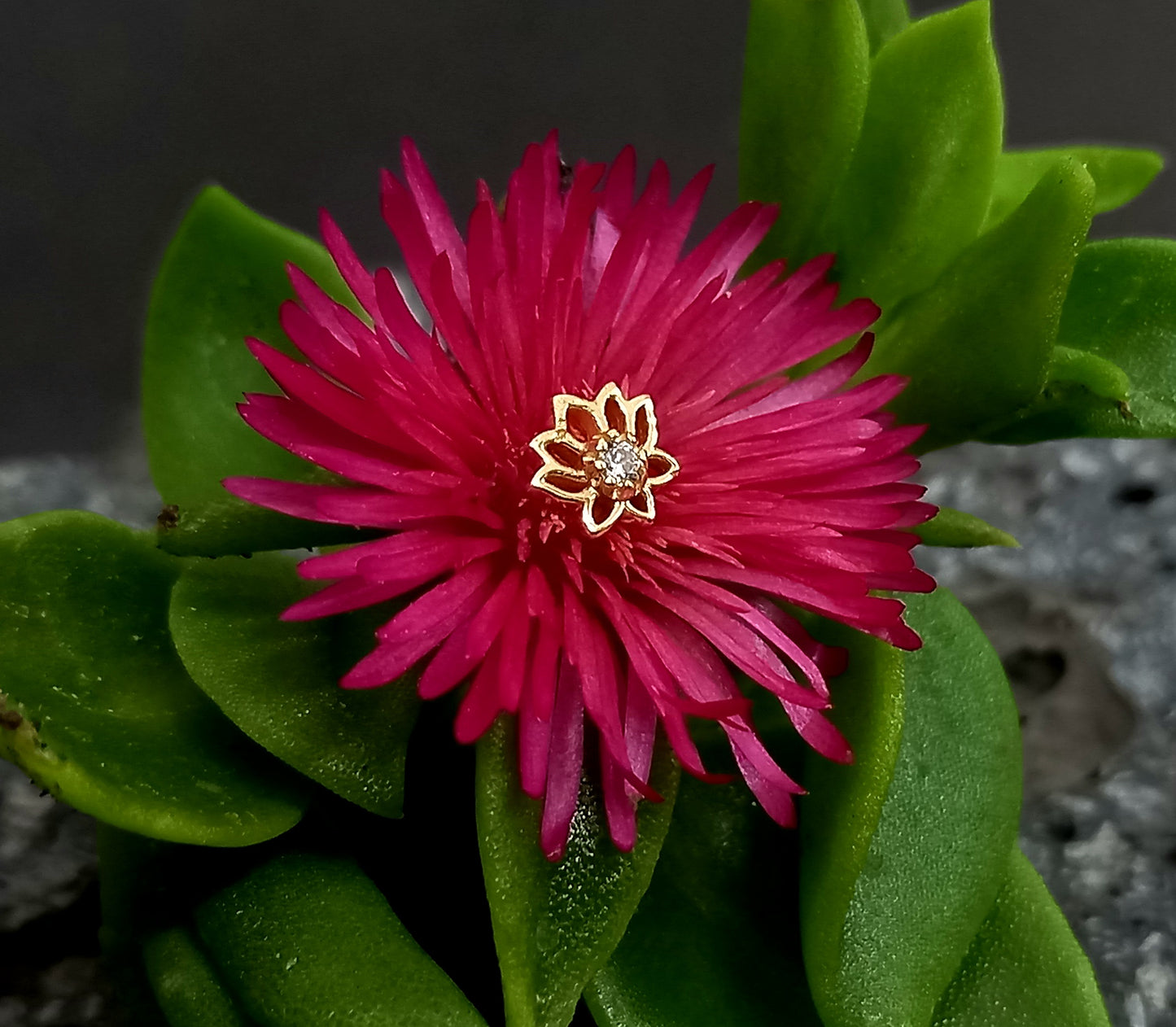 Oro 14k. Flor de loto