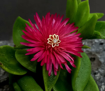 Oro 14k. Flor de loto