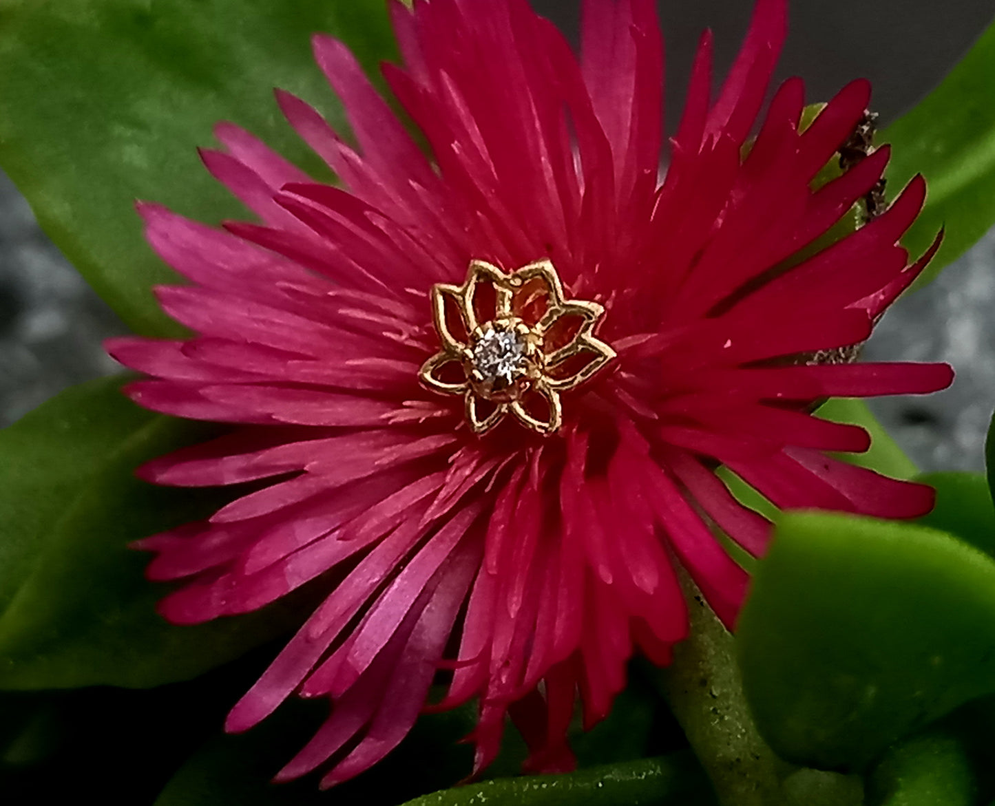 Oro 14k. Flor de loto