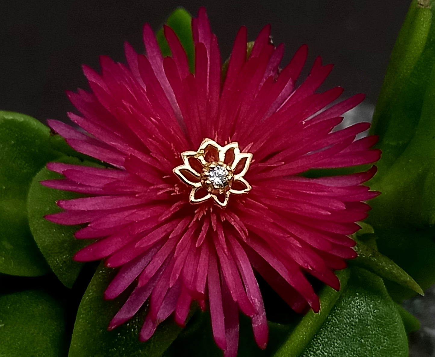 Oro 14k. Flor de loto
